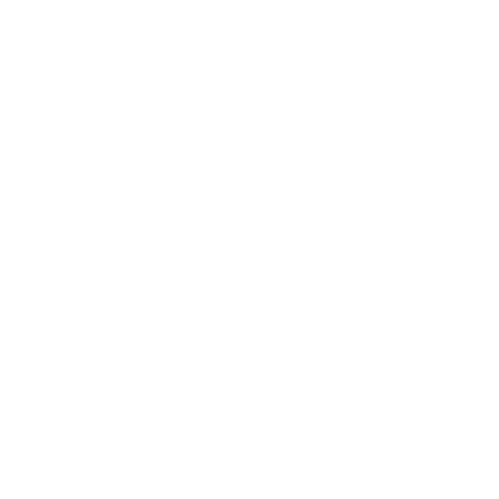 BNBU 校徽